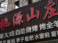 -桃源山庄·水蜜桃采摘·柴火鸡·烧烤团建(龙泉山店)