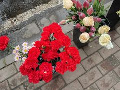 -汪记鲜鱼糊汤粉(沈阳路总店)