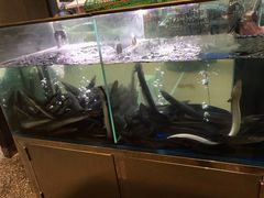 滋补炭烤鳗鱼-本炙炭烤·蒲烧活鳗料理店(金沙洲店)