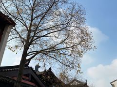 -枫桥景区