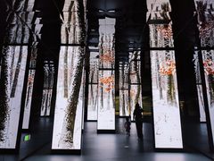 -中国湿地博物馆