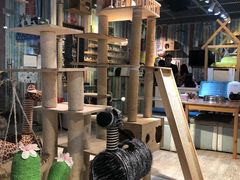 -小时光咖啡馆(开森度假森林店)