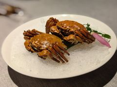 -福玺荟(外滩罗斯福店)