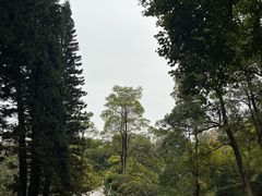 -广州雕塑公园