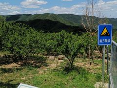 -鬼笑石后山停车场