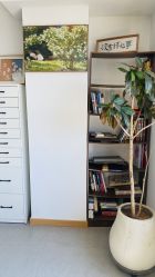 -盼兮·日式美睫沙龙