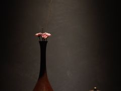 -觀芷隐轩