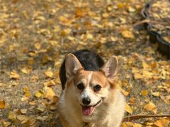 -西北湖绿化广场