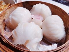 -新同乐鱼翅酒家(美丽华店)