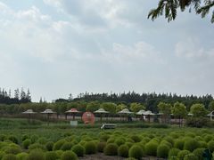 -嘉北郊野公园