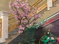 -纽斯洗浴SPA(三墩店)