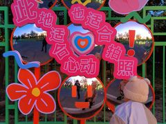 -天津东丽湖风景区