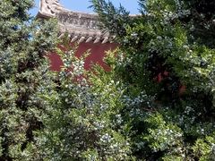 -大雁塔北广场音乐喷泉