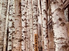 包房-Metal hands·铁手咖啡