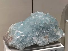 -天津自然博物馆