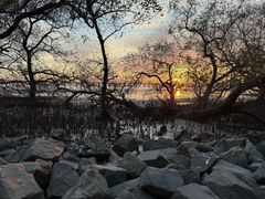 -宝安西湾红树林湿地公园