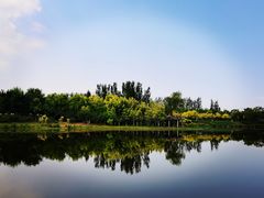 -东郊湿地公园