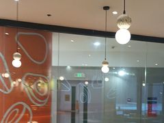 -油梨树 AVOCADO TREE(亮马桥店)