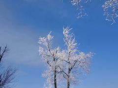 -中旅松花湖滑雪场
