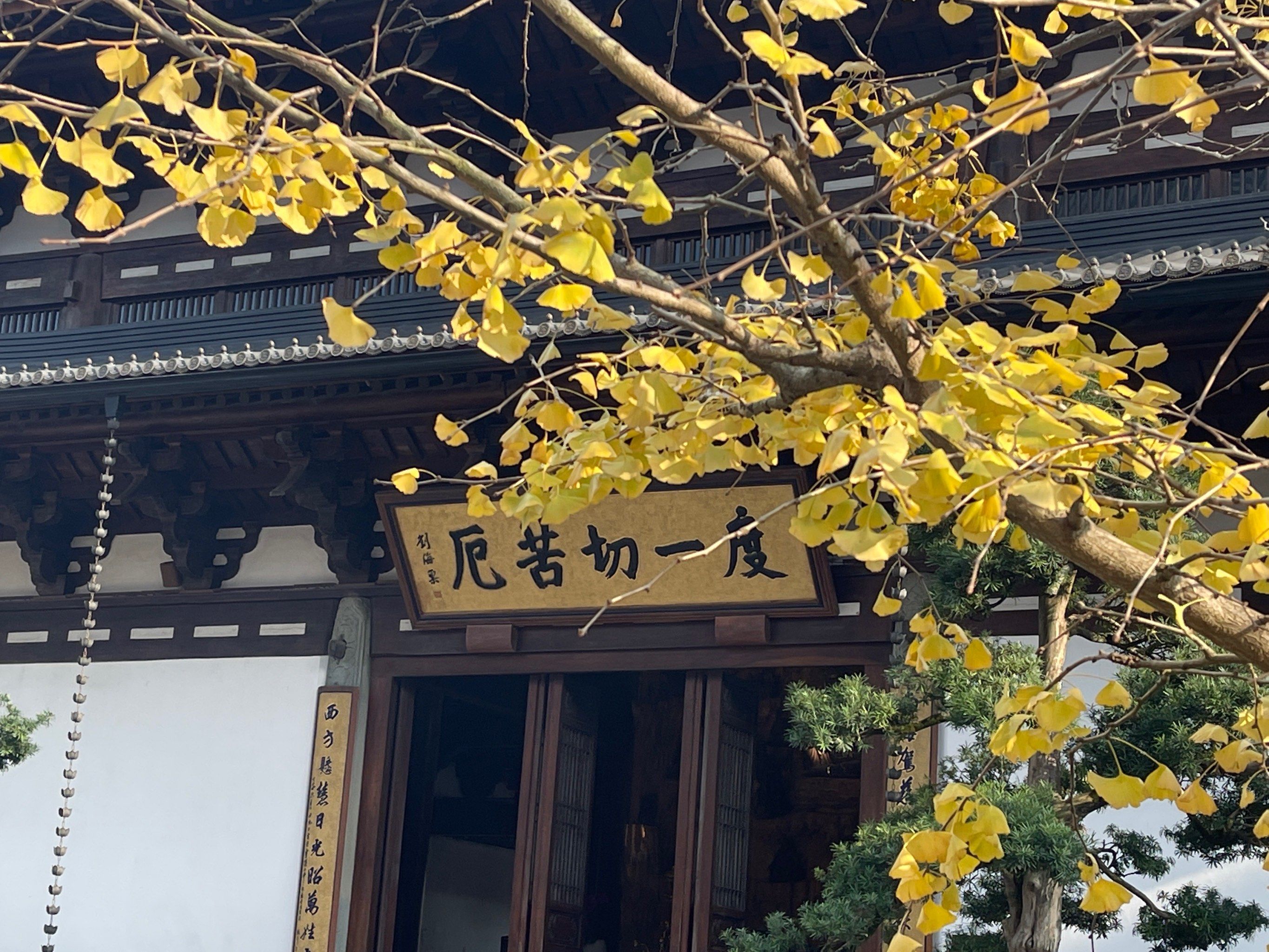 径山寺——祈福之旅