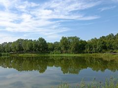 -东郊湿地公园