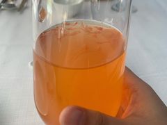 香橙红心柚酵素-顺峰(农展馆店)