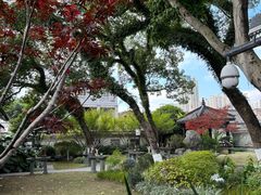 -墨池公园