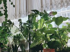 -懒人盐府人家(航天桥店)