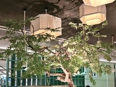 -绿茶餐厅(广州天河城店)