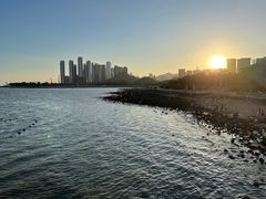 -深圳湾公园(南山区)