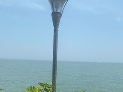 -佳丽海鲜大酒楼(环岛海景店)