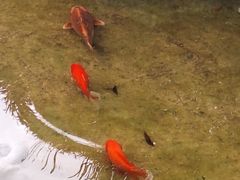 -江宁织造博物馆
