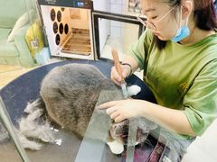 -老吴的猫·猫舍(新区店)