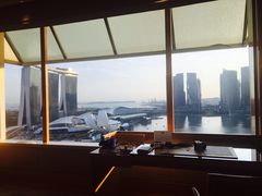 -新加坡丽思卡尔顿美年酒店