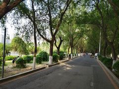 -丁香湖公园
