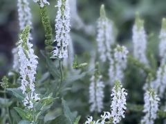 -龙美术馆西岸馆-停车场