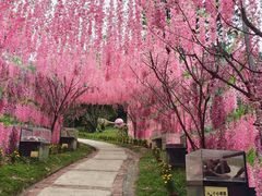 -求水山公园
