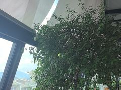 -四月吧餐厅(正阳步行街店)