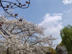 -范蠡湖公园
