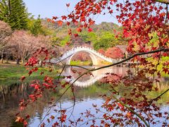 -田野绿世界