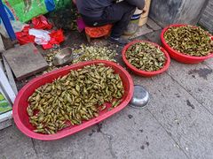 -丝绸小镇荻港古村