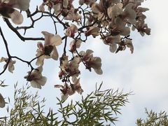 -永定门公园