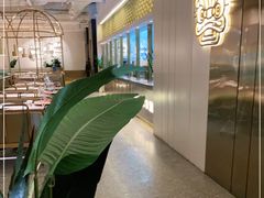 -金香匯晚茶(浑南店)