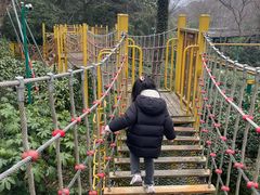 -杭州少年儿童公园