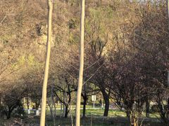 -幕燕滨江·长江观音景区