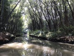 -同里国家湿地公园