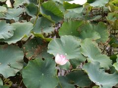 -漩门湾国家湿地公园