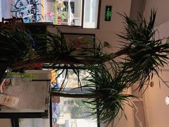 -堂屋糖水店(愚园店)