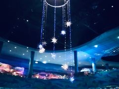 -青岛嘉年华主题乐园