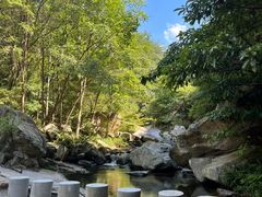 -麻城大别山桐枧冲瀑布群风景区